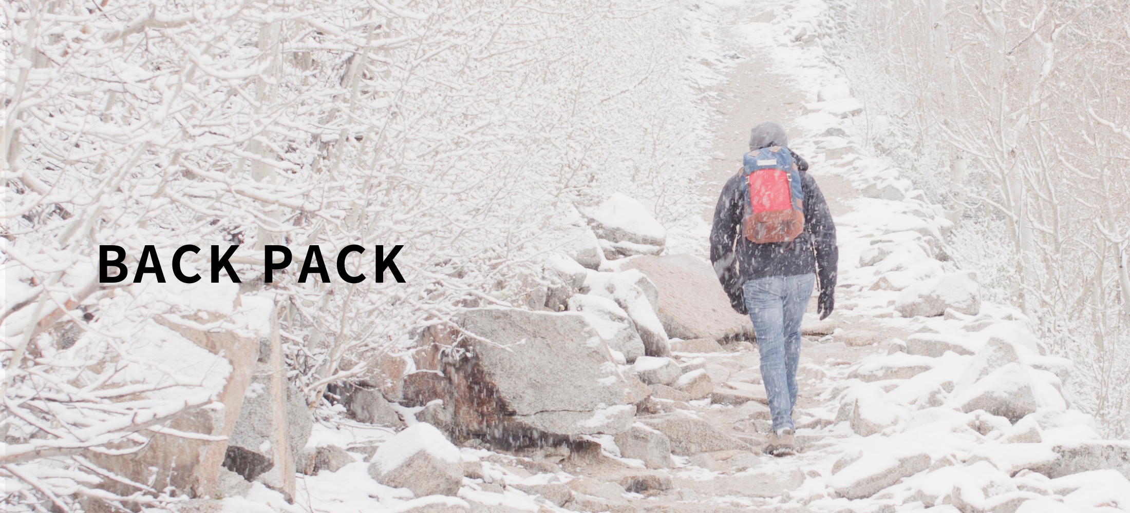 3日間　限定値下げ　　ウィルキンス歯科衛生士の臨床 原著 激レア 3日間 限定値下げ ウィルキンス歯科衛生士の臨床 原著 激レア